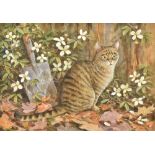 NEIL W COX (born 1955) British (AR) Tabby Kitten Watercolour Signed, old label for Wren Gallery,