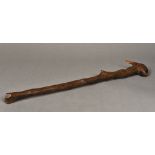 A late 19th/early 20th century Folk Art wooden club The end carved as a rabbit. 55.5 cm long.