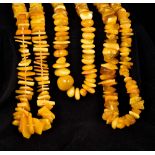 Three various yellow amber necklaces The largest 68 cm long.