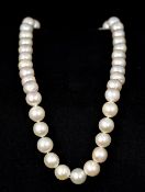 A pearl bead necklace Set with a 14 K gold clasp. 41.5 cm long.