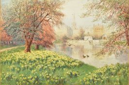 HOWARD GAYE (1849-1925) British Daffodi