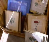 A quantity of botanical and other prints etc