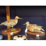 Two Edoardo Tasca for Capodimonte figures of woodcocks resting on wooden bases,