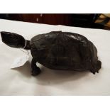 A spelter figure of a terrapin