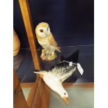 A Beswick seagull wall mounted figure no.922-2 together with a Beswick figure of an owl no.