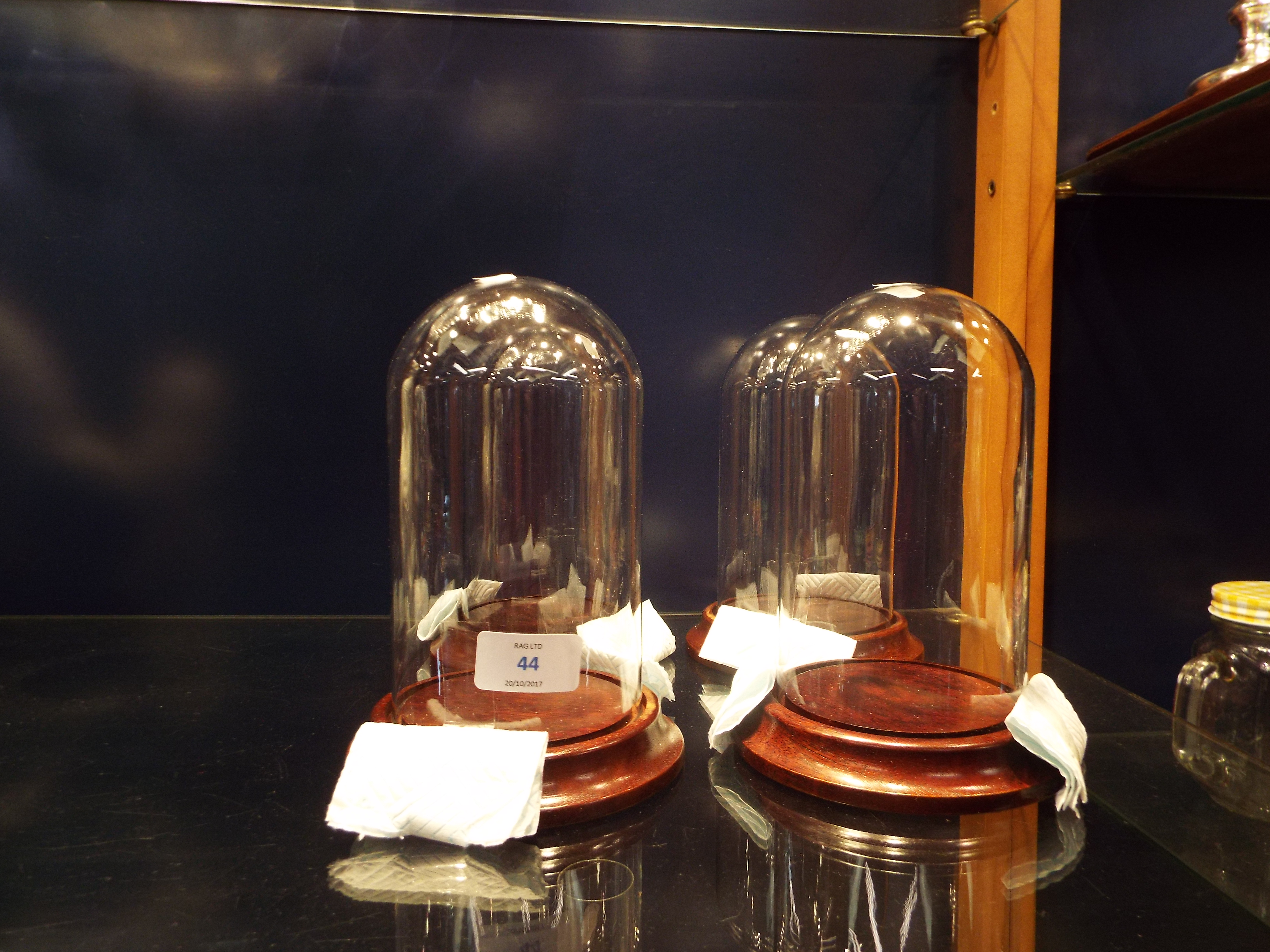 Four modern small glass domes on wooden bases