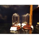 Four modern small glass domes on wooden bases