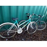 A gent's Emmelle 'Cougar' 18-speed mountain bike together with a ladies 12-speed mountain bike