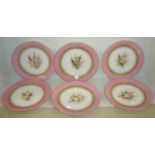 Five hand-painted porcelain plates with pink and gilt border with central panel depicting floral