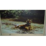 Large framed and mounted limited edition singed David Shepherd print 'Indian Siesta' no.