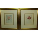 Pair of gilt framed limited edition floral study watercolours with indistinct signature in pencil