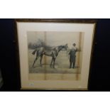 Framed and mounted print of race horse P