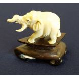 Early 20th C carved ivory figure of an elephant on ebony stand (overall height 5cm)