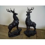 Pair of stags on rocky outcrop bases