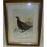 Framed print depicting a grouse by Archibald Thorburn 1909 (1860-1935 son of Robert Thorburn ARA)