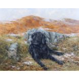 Property of a gentleman - Neville Barker (1949-2008) - A BLACK LABRADOR IN HIGHLANDS - oil on