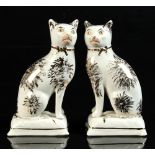 Property of a lady - a pair of late Victorian Staffordshire gilt decorated models of seated Cats, on