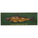 Property of a gentleman - a large wooden plaque depicting a salmon entitled 'Taken from the River