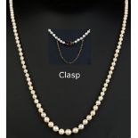 A graduated pearl single row necklace, the one hundred & sixty-five pearls ranging from