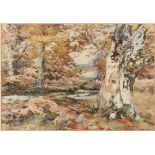 Property of a deceased estate - R. Jones (early 20th century) - WOODLAND STREAM - watercolour, 9.