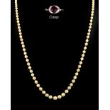 A single row graduated pearl necklace, the one hundred & forty-four pearls ranging from