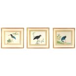 A set of three late 19th Chinese watercolour paintings on paper depicting birds, each