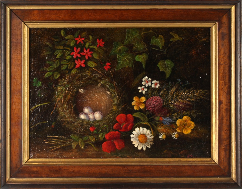 Property of a lady - H. Thomson - STILL LIFE OF BIRD'S NEST WITH BIRD'S EGGS AND FLOWERS - oil on