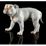 Property of a lady - a rare Bing & Grondahl model of a bulldog, model number 1605, designed by