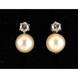 A pair of pearl & diamond earrings, each with a single pearl set below a single round brilliant