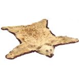 Property of a lady of title - a taxidermy brown bear skin rug, with stuffed head & claws, label