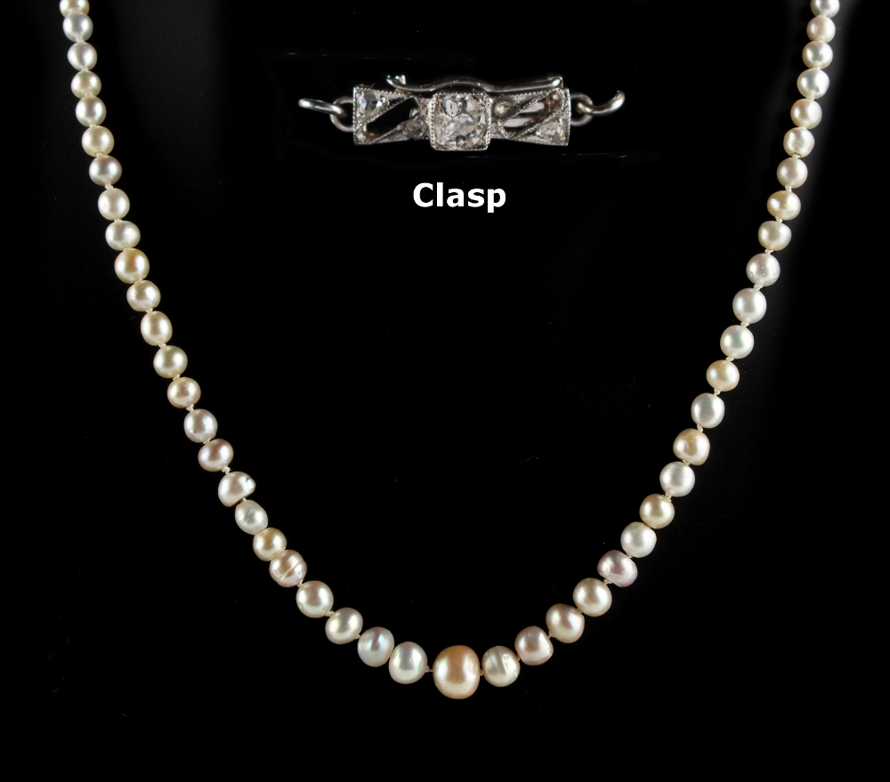 A natural saltwater pearl single strand necklace, the eighty-four pearls of varying colour, mostly