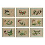 Property of a deceased estate - a set of nine 19th century Chinese pith paper paintings depicting
