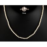 A single strand uniform pearl necklace, the one hundred & ten individually knotted pearls