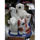 Five Victorian Staffordshire Seated King Charles Spaniels, varying designs and sizes, 33 cms and