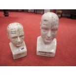 Two Reproduction L.N Powler Phrenology Heads, 25 x 19.5 cms high. (2)