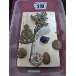 A Small Quantity of Cap Badges, buttons and aircraft postcards.