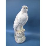 A Royal Copenhagen Model of an Icelandic Falcon, perched on an oak tree branch, head turned to the