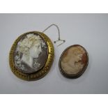 A XIX Century Oval Shell Carved Cameo Brooch, depicting female profile with fruiting vines in her