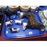 Beswick Models, including dark brown Shire Horse, Doberman, Pekinese, Jack Russell and Spaniel (