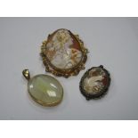 A Large XIX Century Oval Shell Carved Cameo Brooch, depicting female profile, collet set; together