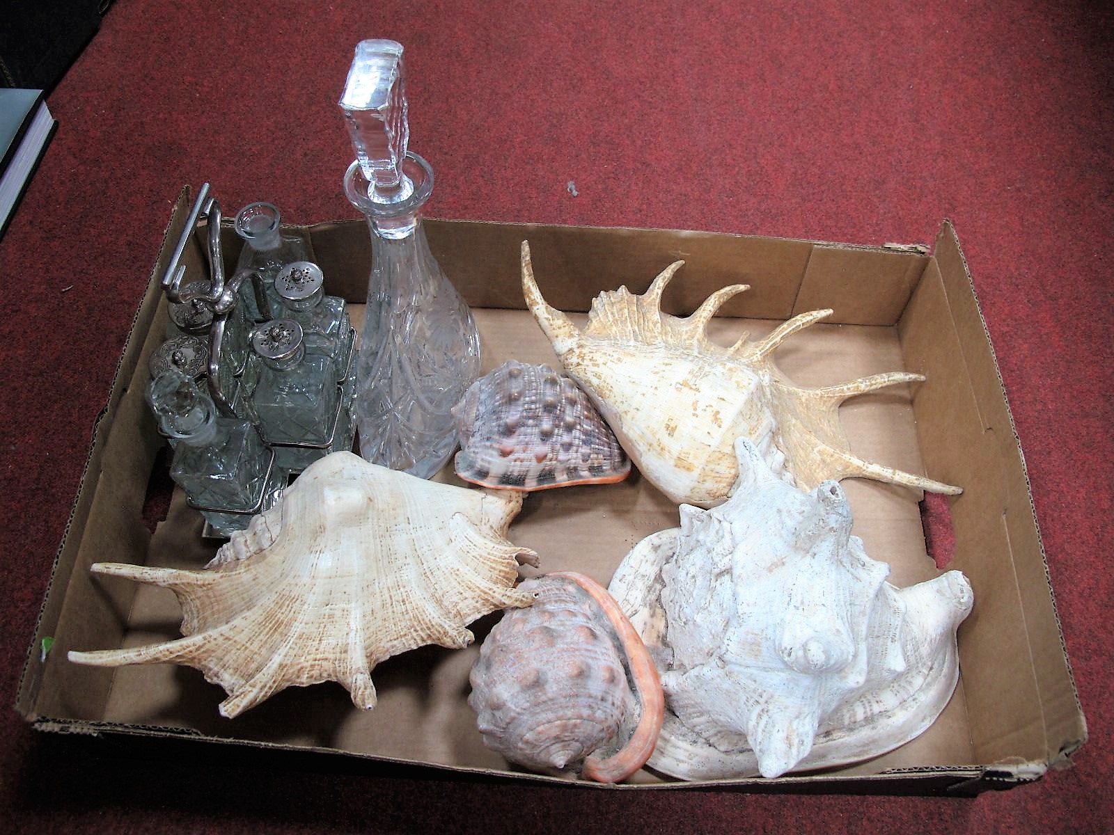 A Conical Glass Decanter, six bottle cruet set, five large sea shells.