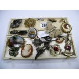 Assorted Costume Brooches, including XIX Century panel brooch depicting figure in a landscape, cameo