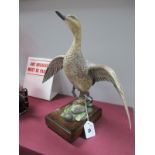 A Royal Worcester American Pintail (Hen), modelled by Ronald Van Ruyckevelt, numbered 213, on