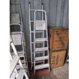 A Set of Safety Ladders, and a set of household steps. (2)