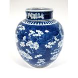 A Late XIX Century Chinese Porcelain Ginger Jar and Cover, of ovoid form, painted in blue and