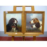 COLIN GRAEME ROE (1858-1910) Study of a Pair of Spaniels amongst Reeds, oil on canvas, signed and