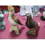 A Beswick Pigeon 1383 and Song Thrush 2308.