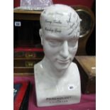 A Large XX Century Pottery Phrenology Head, 41cm tall.