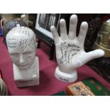 A Reproduction Phrenology head, 20cm and a reproduction palm reading model hand. (2)