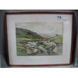 Charles Potter (Sheffield Artist), Sheep on a Country Track, watercolour, signed and dated 1915